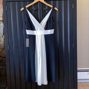 Ann Taylor dress